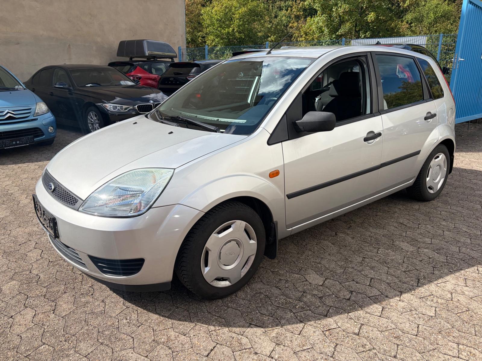Ford Fiesta Fun